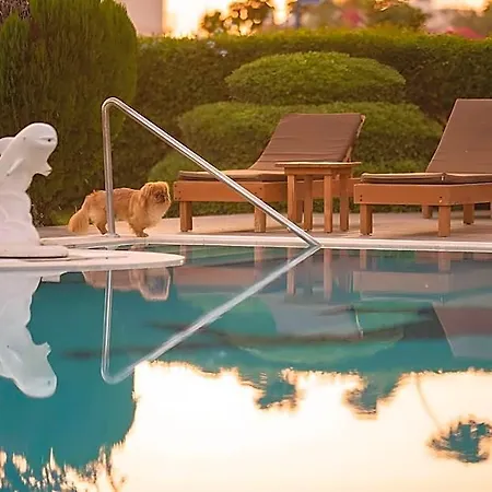 Hotel Golden Moon
