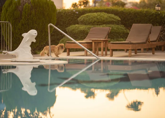 Golden Moon Hotel